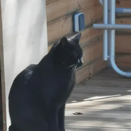 La Insolite خيمة فخمة Les Épesses