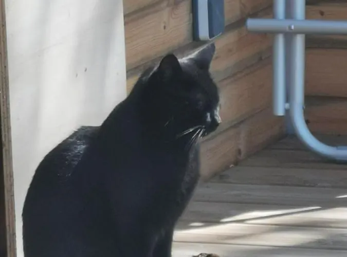 La Insolite Οργανωμένο κάμπινγκ Les Épesses