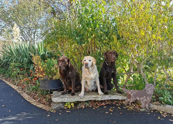 La Insolite Οργανωμένο κάμπινγκ Les Épesses